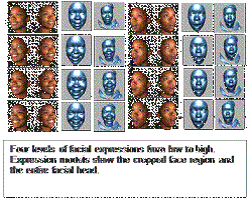 BU3DFE - 3D facial expression dataset